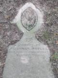 image of grave number 99680